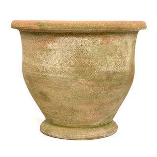 Botanical Collections - Wholesale Plant Pot - Potier #6 - Set of 20