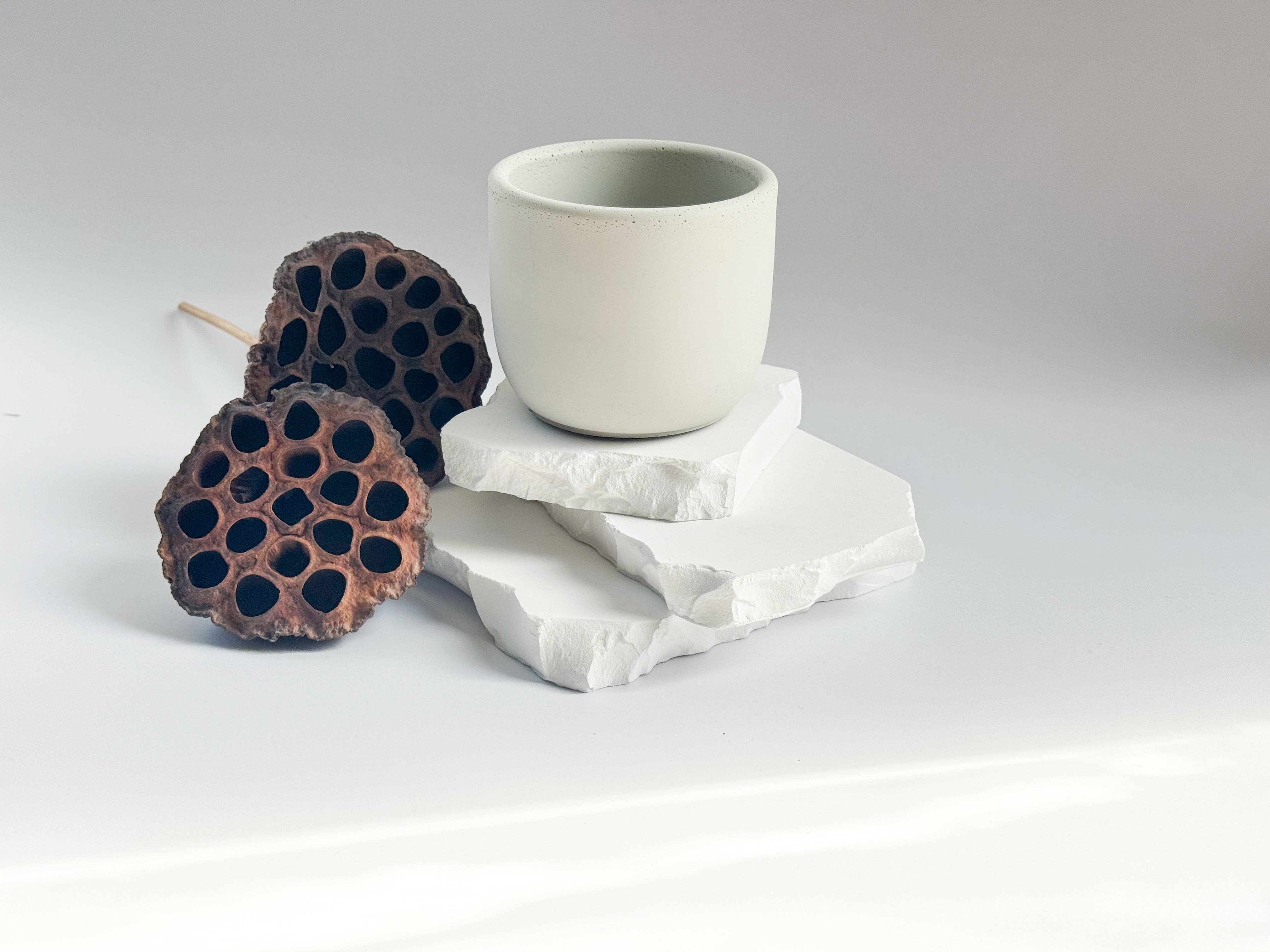 Tavv Inc - Wholesale Candle Holder - Concrete,Tulip shape Candle Vessel, 8oz7