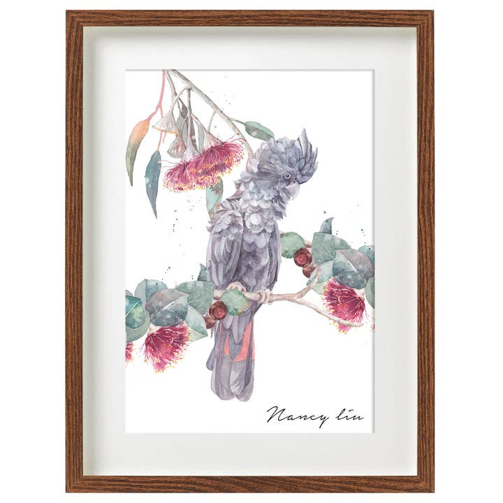 Cacatoès noir avec fleurs de gommier | Impression artistique à l'aquarelle pour la vente par NananStudio