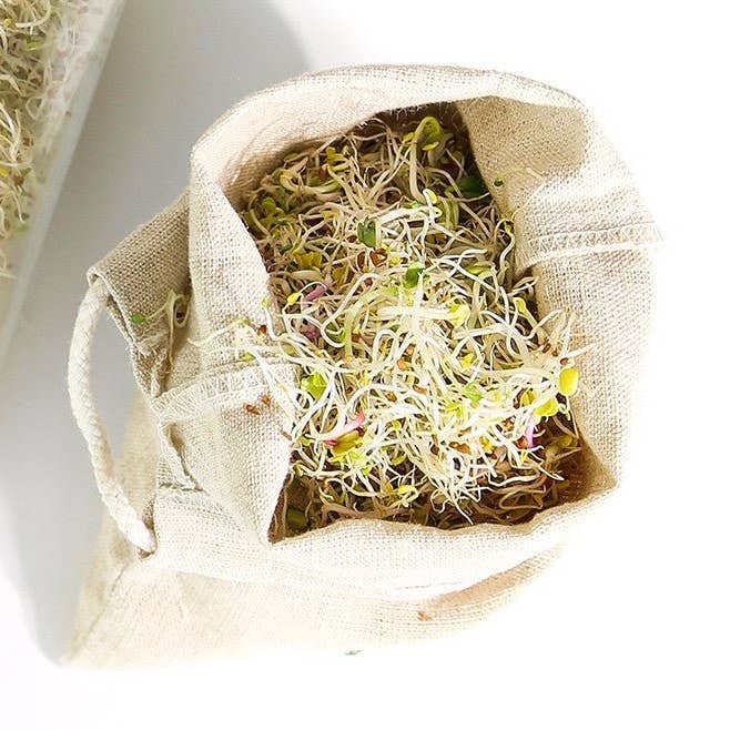 Sproutman - Wholesale Plant Seeds - Sproutman's® Sprout Bag1