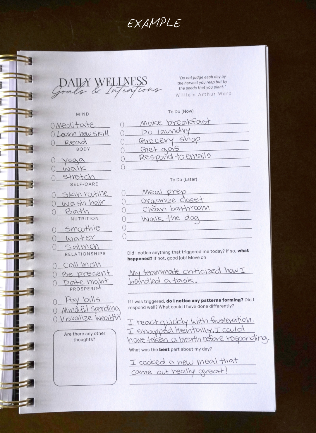 Bloom Later - Wholesale Journal/Diary - The Seed Bundle10