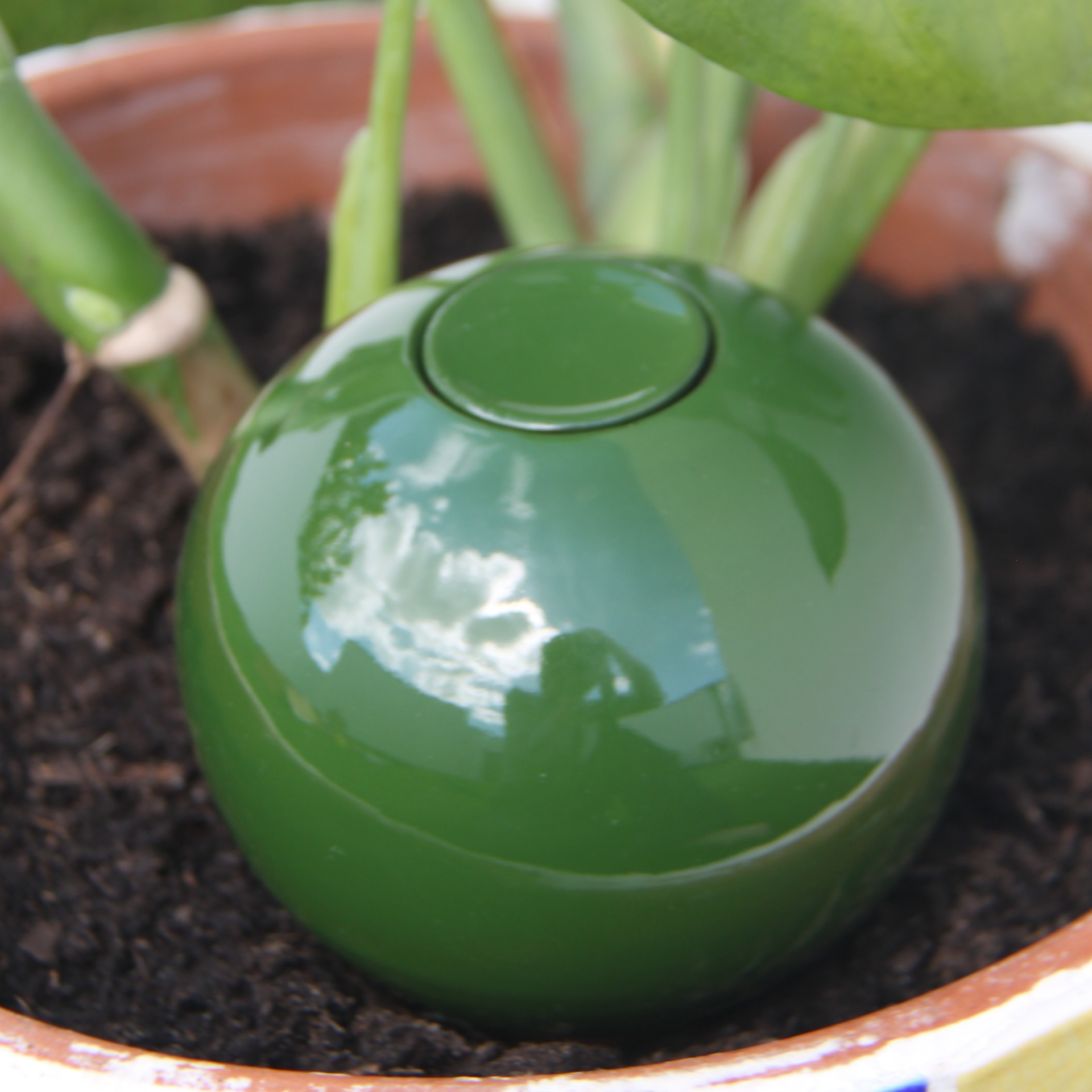 Poterie lutton - Wholesale Plant Pot - Ollas to plant medium8