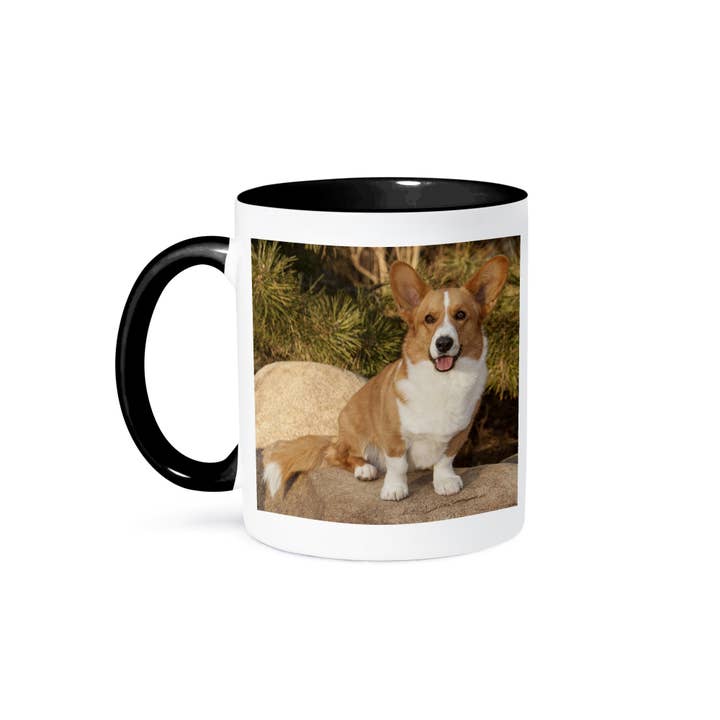 3dRose - Wholesale Coffee Mug - 3dRose, Purebred Cardigan Welsh Corgi Dog on rock - NA02 PWO0023 - PiperAnne Worcester, Mug