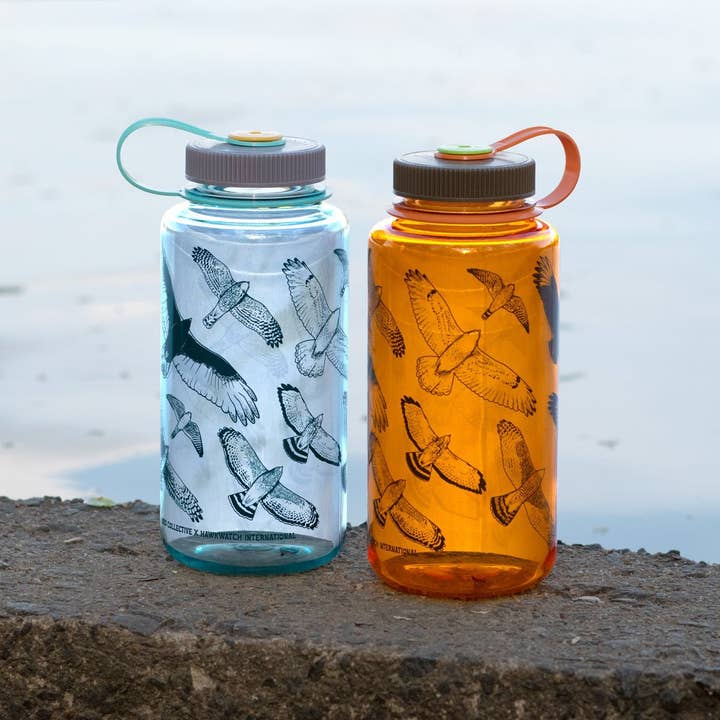 Bird Collective - Wholesale Water Bottle - Hawks in Flight Nalgene Water Bottle | Seafoam4