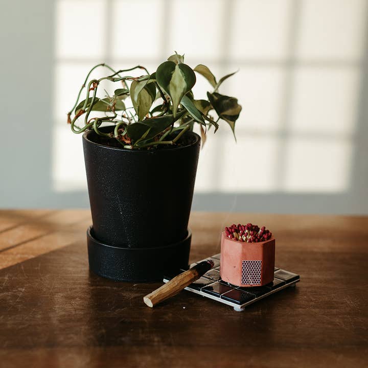 Tenn Prairie - Wholesale Match Holder - Concrete Match Holder – Modern Design with 2-Inch Safety Matches7