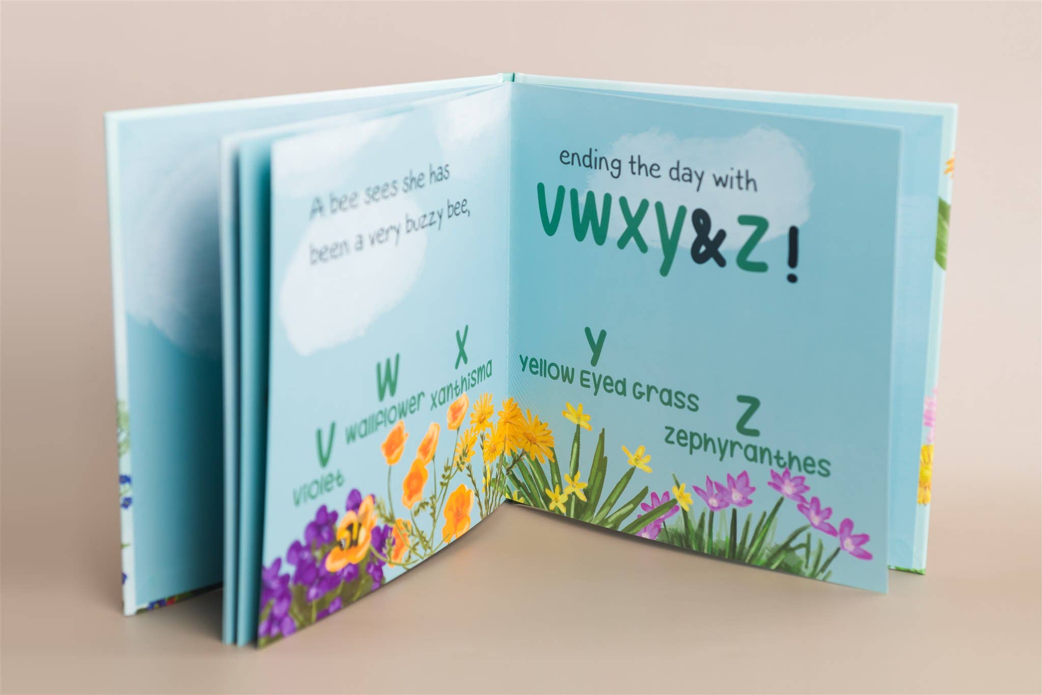 Rebecca Jimenez - Wholesale Preschool Book (3-5) - A Bee Sees the ABC's Hardback Children's book3