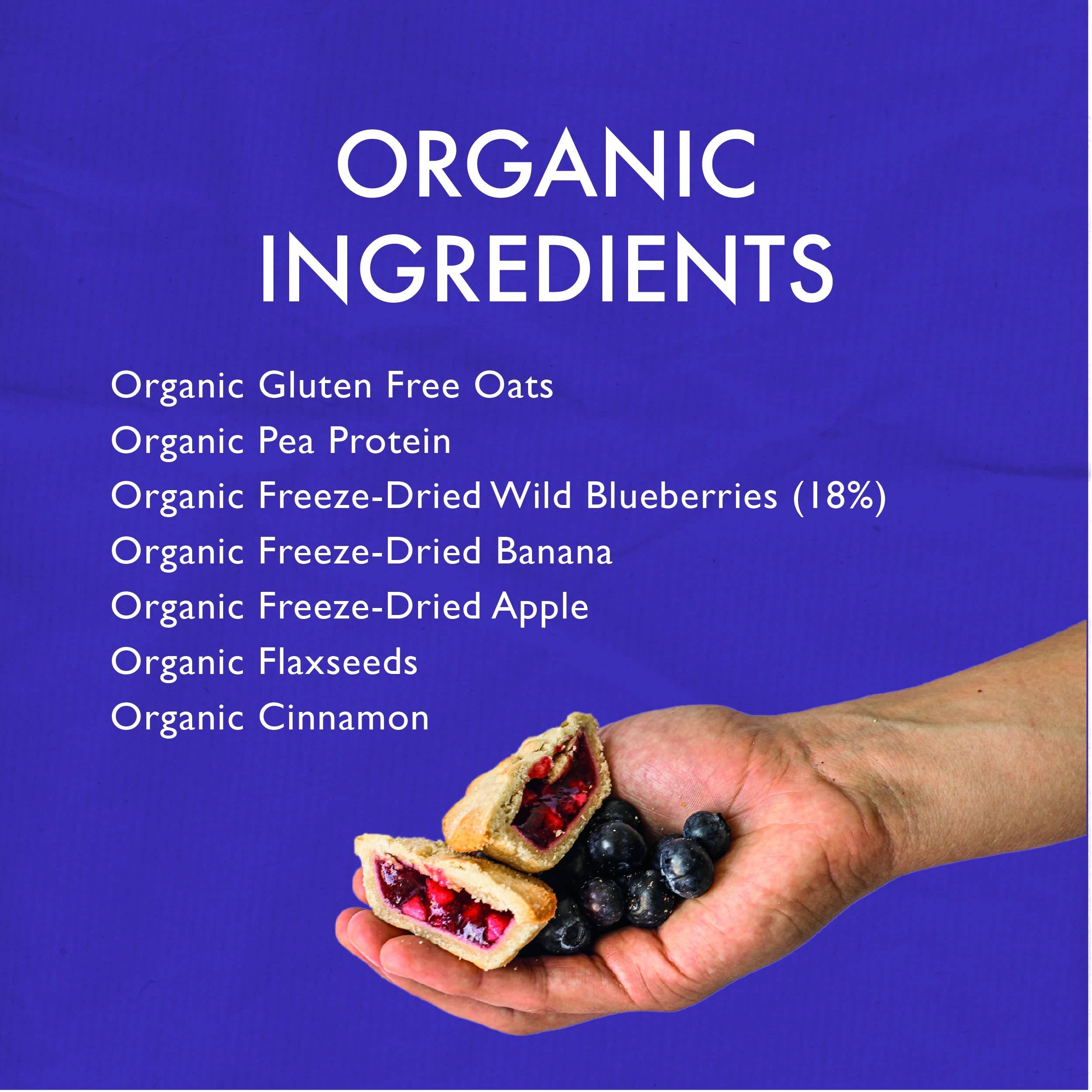 FOGA – wholesale Protein/superfood powder – Blueberry Pie Oatshake2