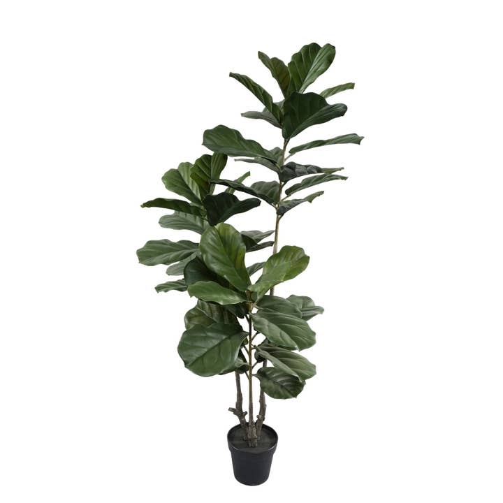 Arbre artificiel premium à plusieurs tiges Ficus lyrata 160 cm résistant aux UV (démontable) pour la vente par Designer Plants