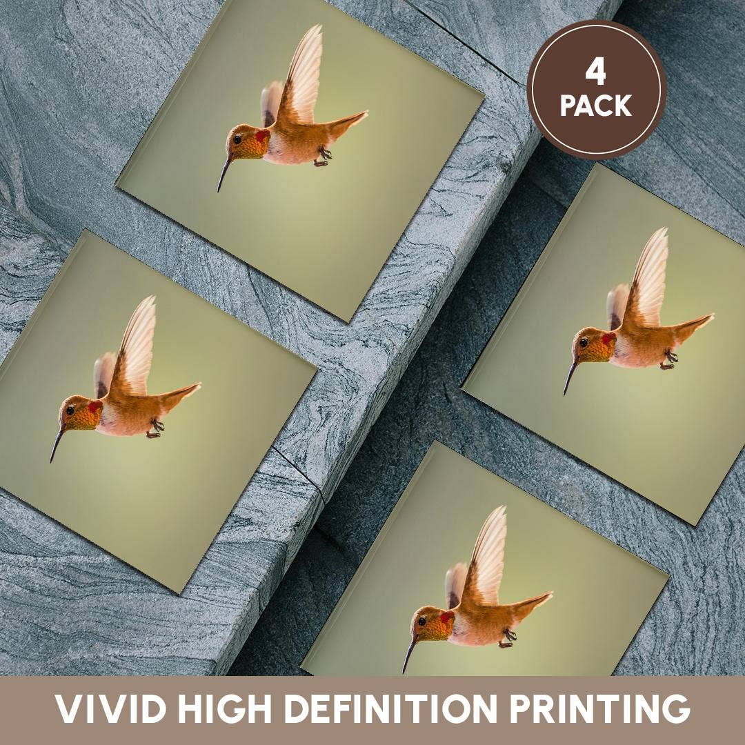 3dRose – wholesale Coasters – 3dRose, Rufous hummingbird, Selasphorus rufus. , Coaster5