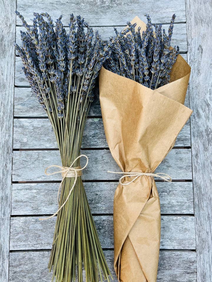 Dried French Lavender Bunches - Set of 12 or 24 White Label for wholesale by Whitethorne Lavender
