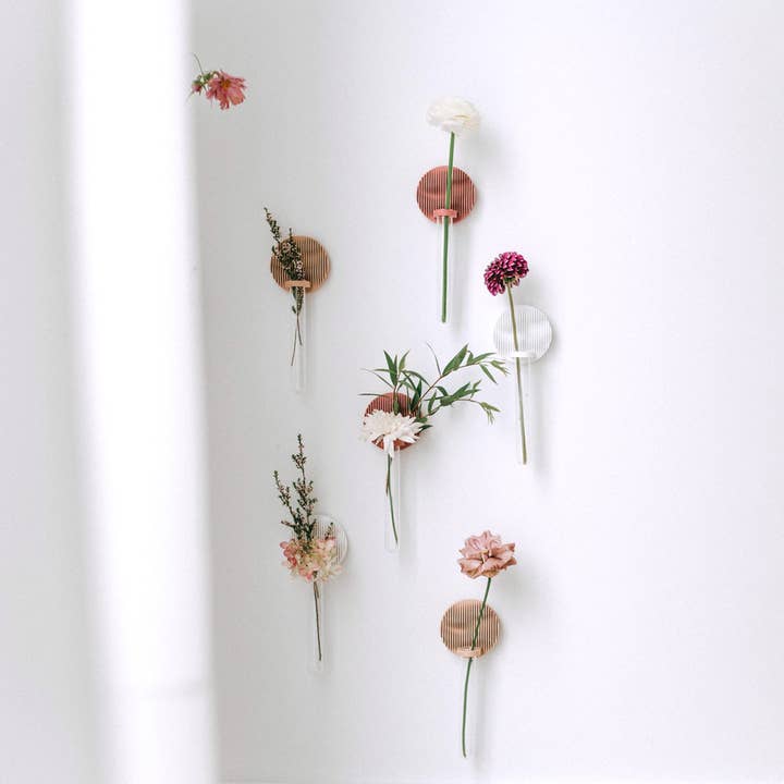 Sonnihaus - Wholesale Wall Planter - BADA (바다) Propagation Station8