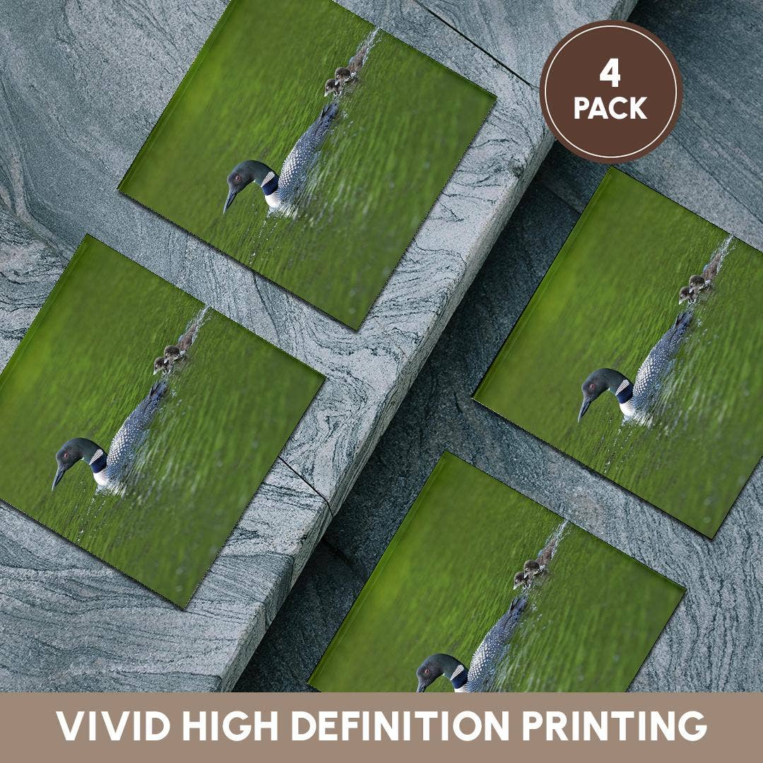 3dRose - Wholesale Onderzetters - 3dRose, Cassels Lake. IJsduiker met kuikens, Onderzetter5