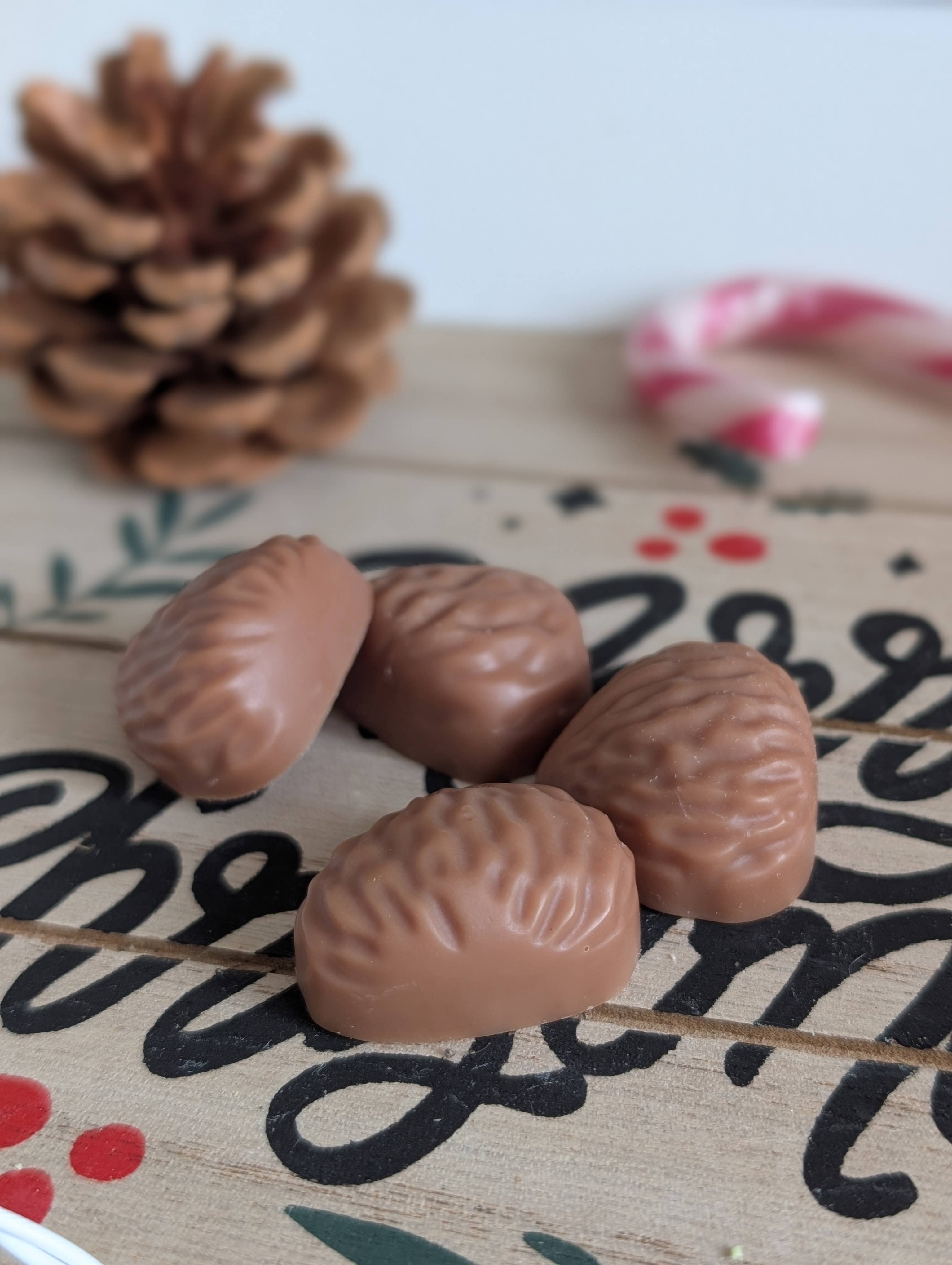 Les bougies Burgondes - Wholesale Wax Melt - Box of 10 Christmas scented melts5