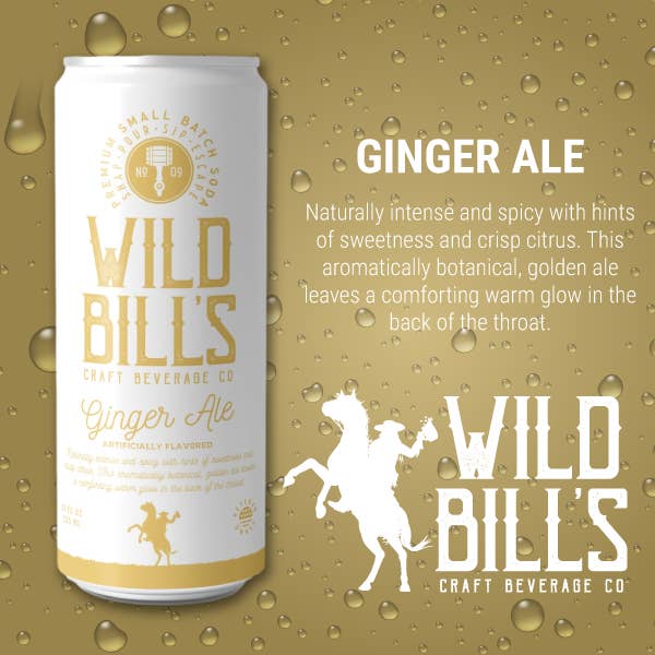 Wild Bill’s Craft Beverage Co. - Wholesale Soda/Carbonated Drink - Ginger Ale - Premium Cane Sugar Soda, 12-Pack, Cans