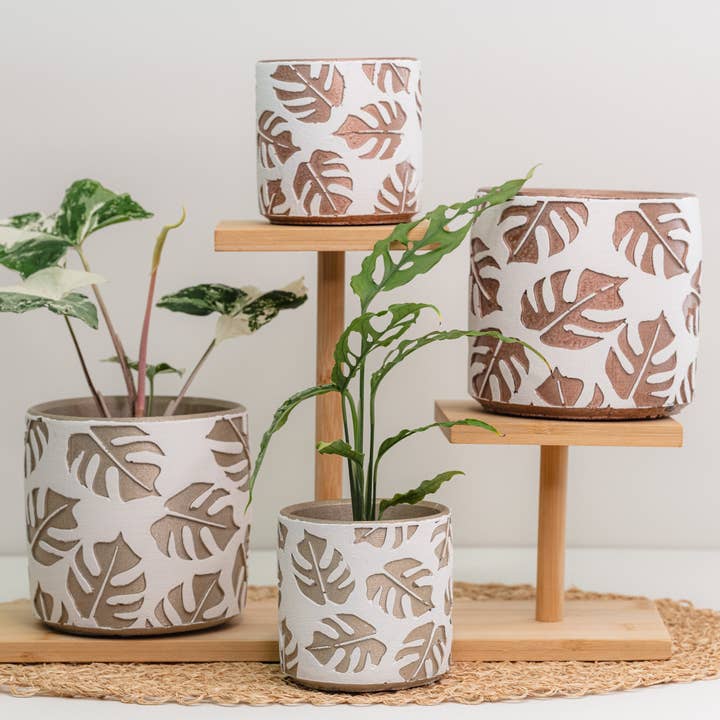 Monstera Leaf Pot for wholesale by The Curated Jungle