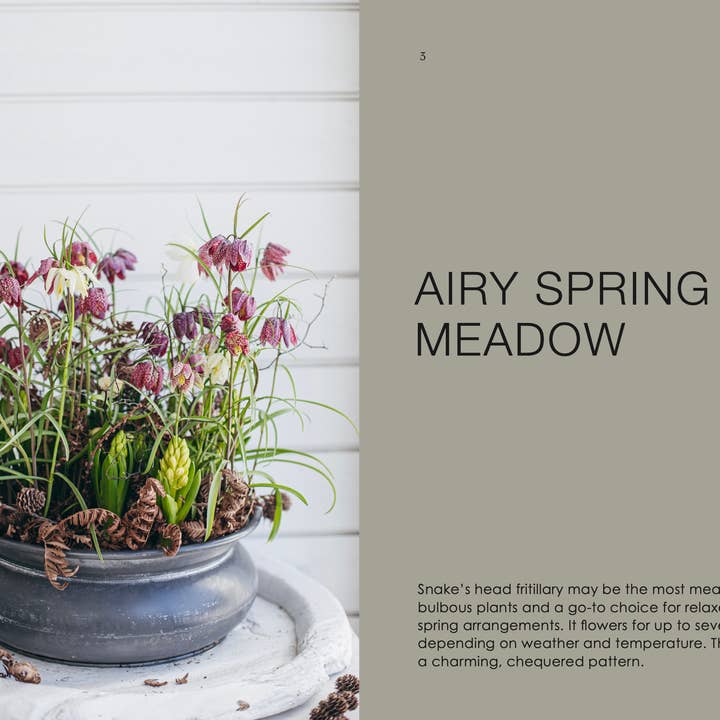 Cozy Publishing - Wholesale Book – Adult - The Potted Garden - All Year Round