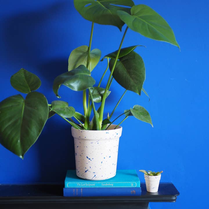 Hello Marilu - Wholesale Plant Pot - Large Splatter Plant Pots - Choose your colours4