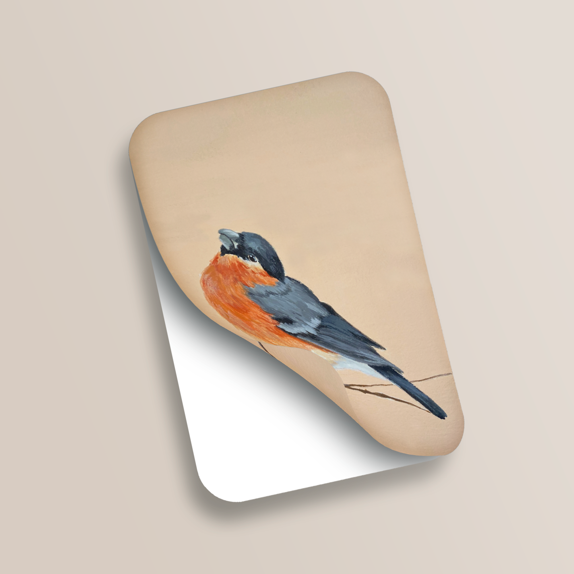 Victoria in Design - Wholesale Sticker - The Robin Vinyl Sticker1