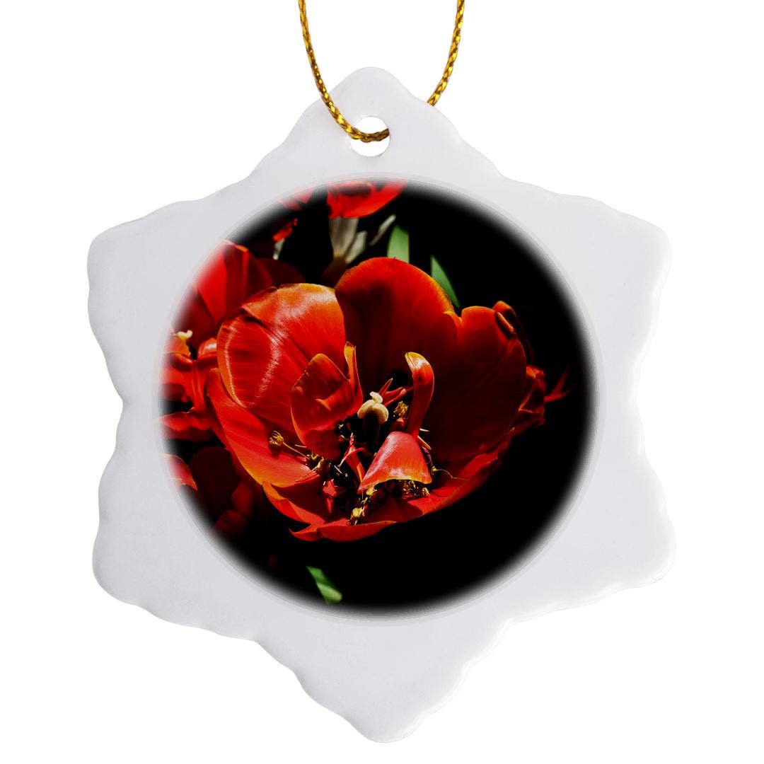 3dRose - Wholesale Ornament - 3dRose, Closeup view of a red tulip bulb full of tiny maple tree flowers, Ornament0