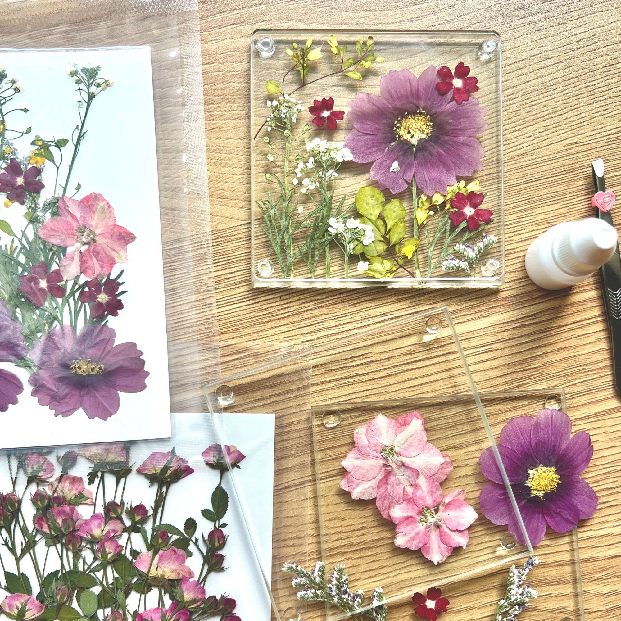 Petal And Press - Wholesale Doe-het-zelf-knutselset - Geperste Bloemen Onderzetters Doe-Het-Zelf Kit met echte gedroogde bloemen1