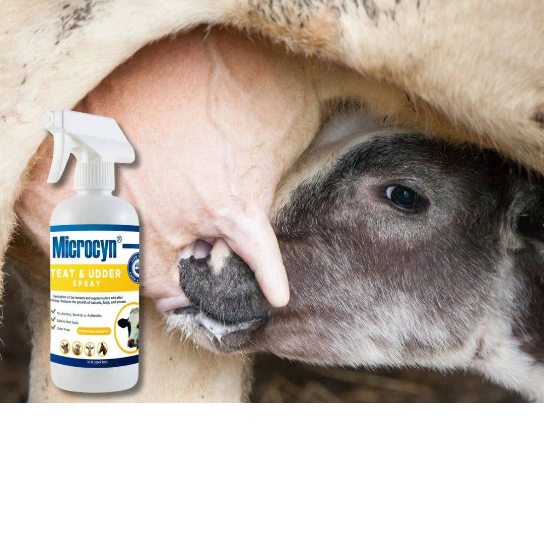 BC Animal Solutions Inc - Wholesale Pet Spray - Dog - Microcyn® Farm and Ranch Teat & Udder Spray, 16oz2