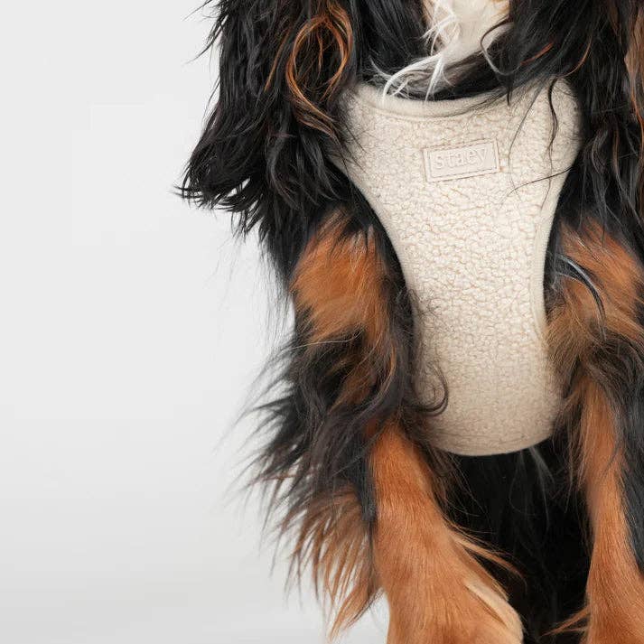 Staey - Wholesale Pet Harness - Dog - Teddy Step-In Dog Harness | Nature4