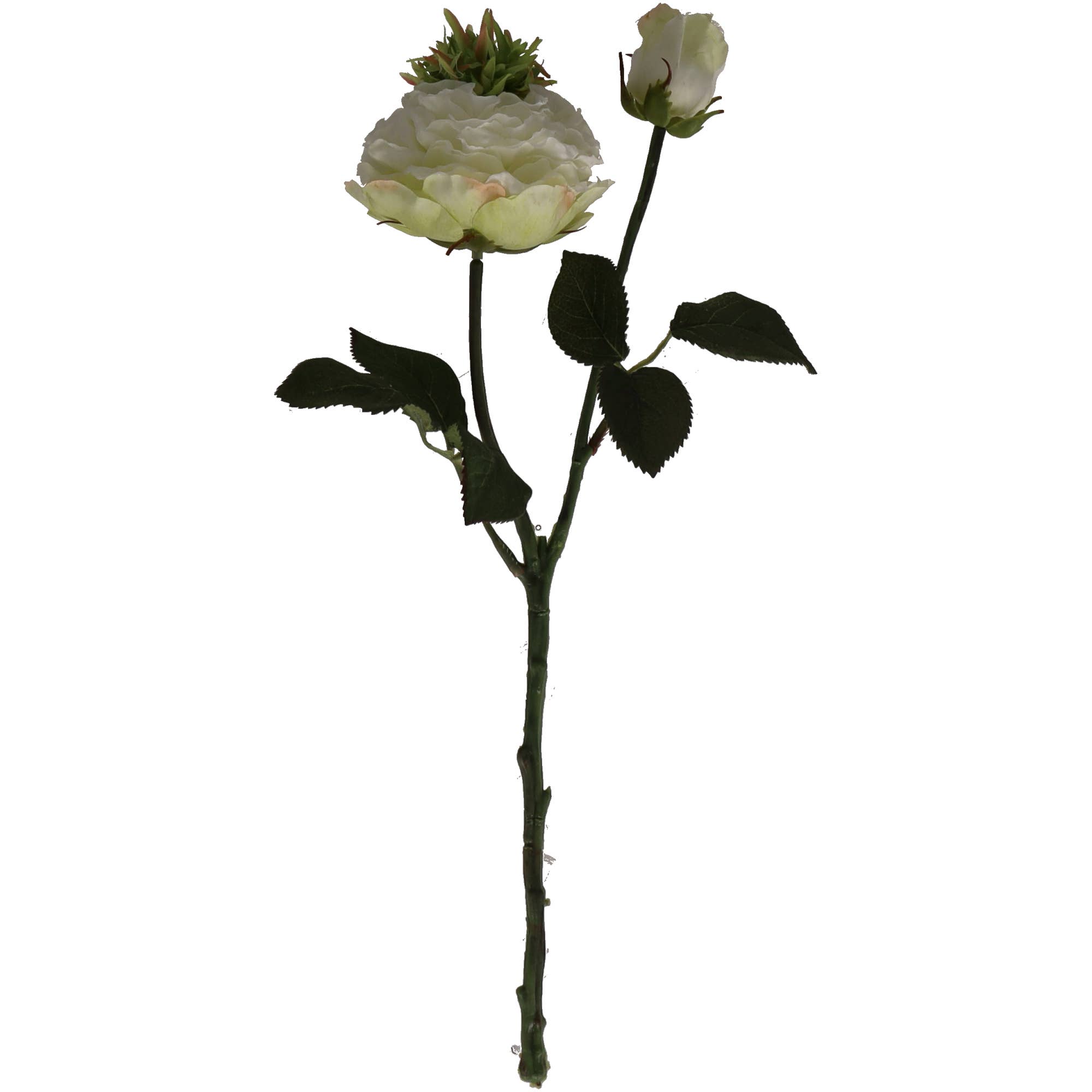 Vosteen – Großhandel Künstliche Blumen – Rose Gini, 1 Blüte, 1 Knospe, L38cm, Weiß0