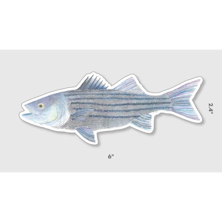 Striped Bass Sticker for wholesale by Rainy Dayz Creative