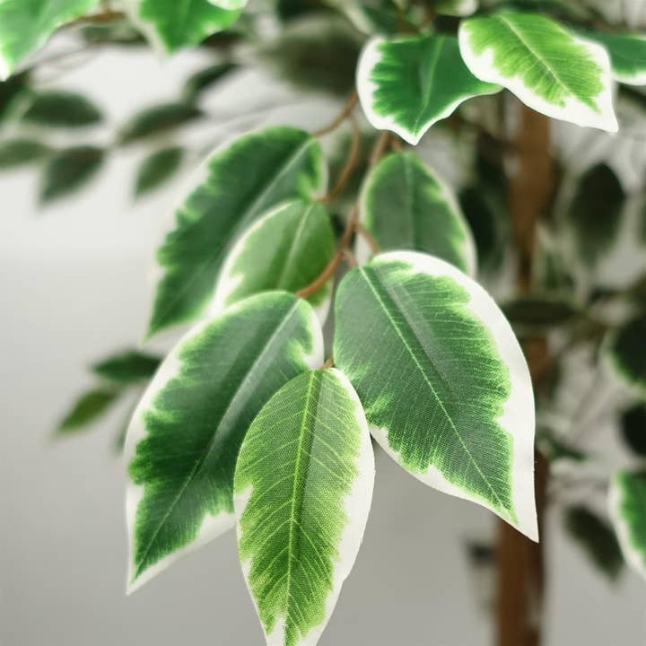 Leaf Design UK LTD - Wholesale Artificial Plant - Artificial Ficus Tree Realistic Extra Large 5ft1