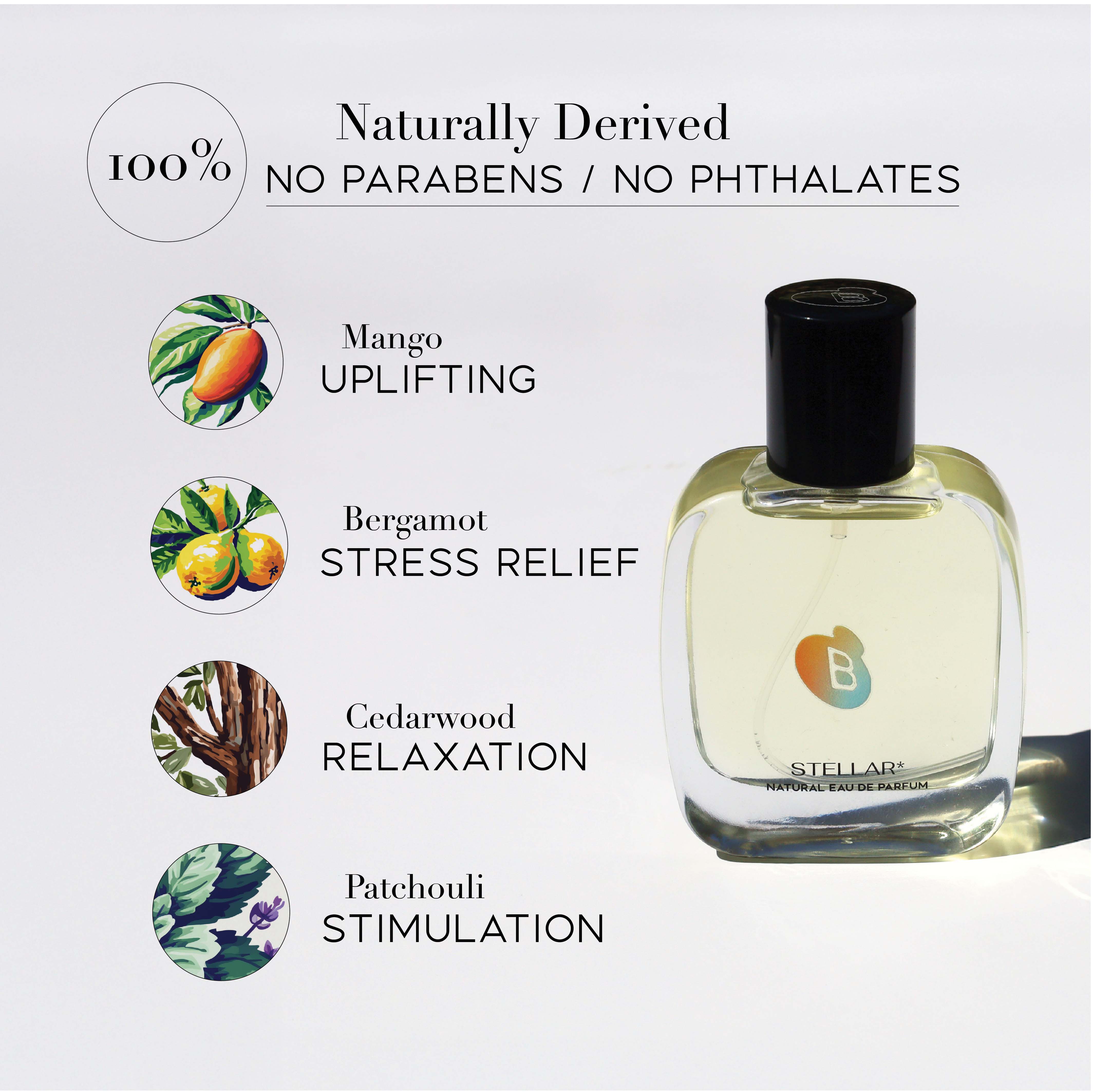 Biology Functional Fragrances - Wholesale Perfume/Eau de Toilette - STELLAR* Natural Fragrance | Mango, Sandalwood, Bergamot1