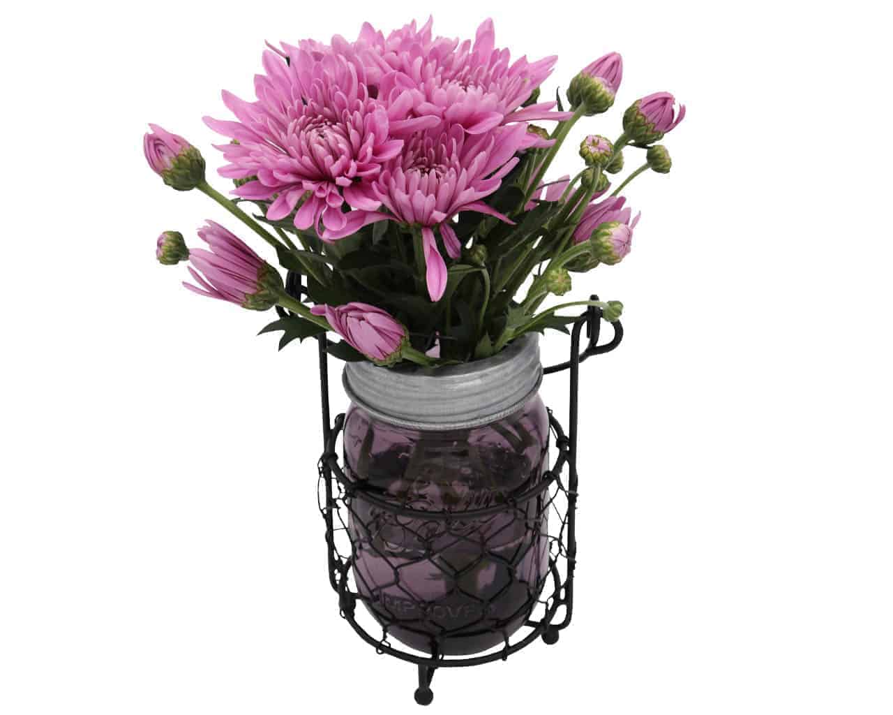 Mason Jar Lifestyle - Wholesale Jar - Galvanized Metal Flower Organizer Frog Lid for Mason Jars7