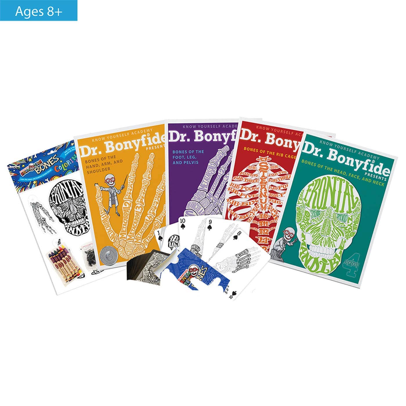 Know Yourself - Wholesale Baby & Toddler Book (0-2) - 206 Bones of the Human Body Bonus Bundle0