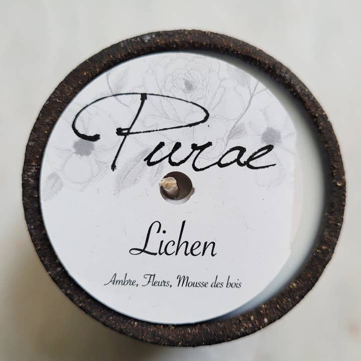 Liquen - arenisca Chamotte para venta al por mayor de Purae