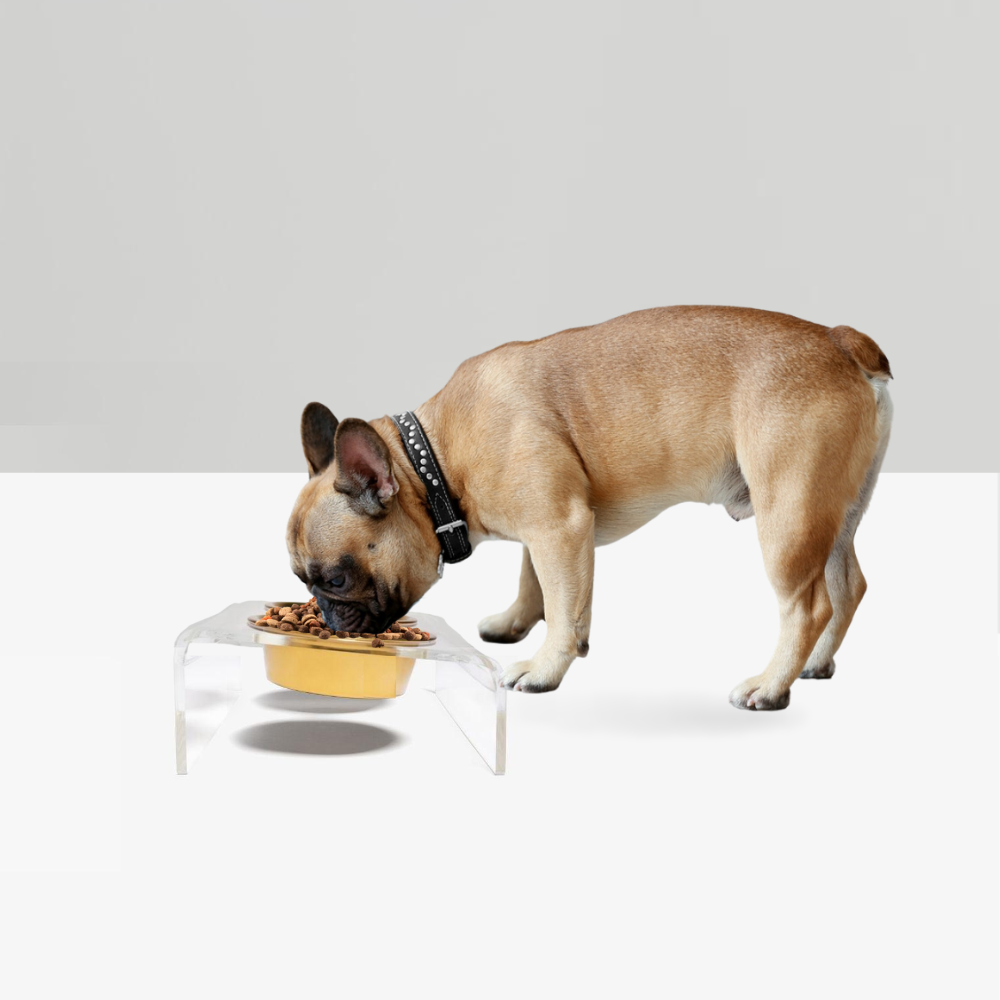 Hiddin - Wholesale Pet Bowl - Cat/Dog - Slant Gold Feeder5