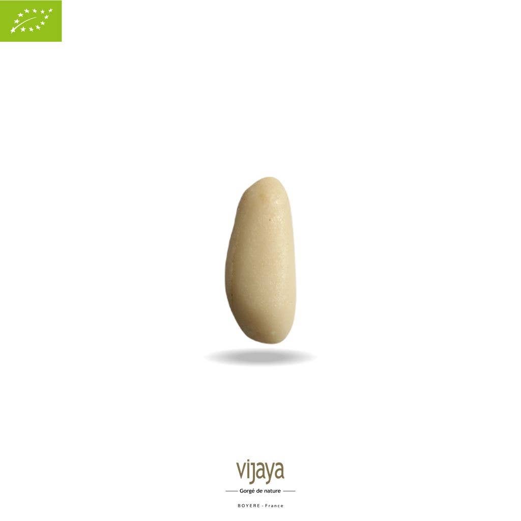 VIJAYA - SAS J.L. BOYERE - Wholesale Nuts - Pine nuts - ITALY - 1 kg - Organic*1