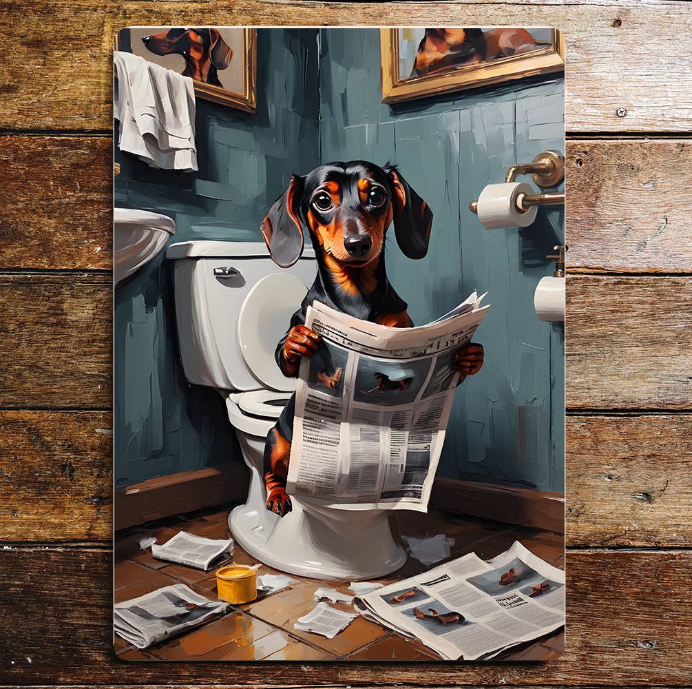 The British Metal Signs Company - Vendita all'ingrosso Cartelli - Bassotto sul WC Giornale Cane Cani Insegna in Metallo0