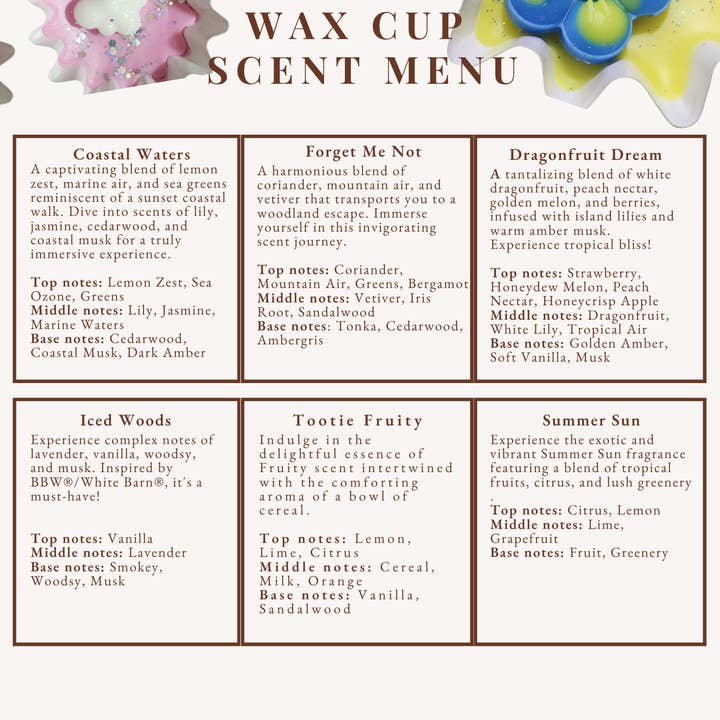 Nature's Elements - Wholesale Wax melt - Wax Melt Cup4