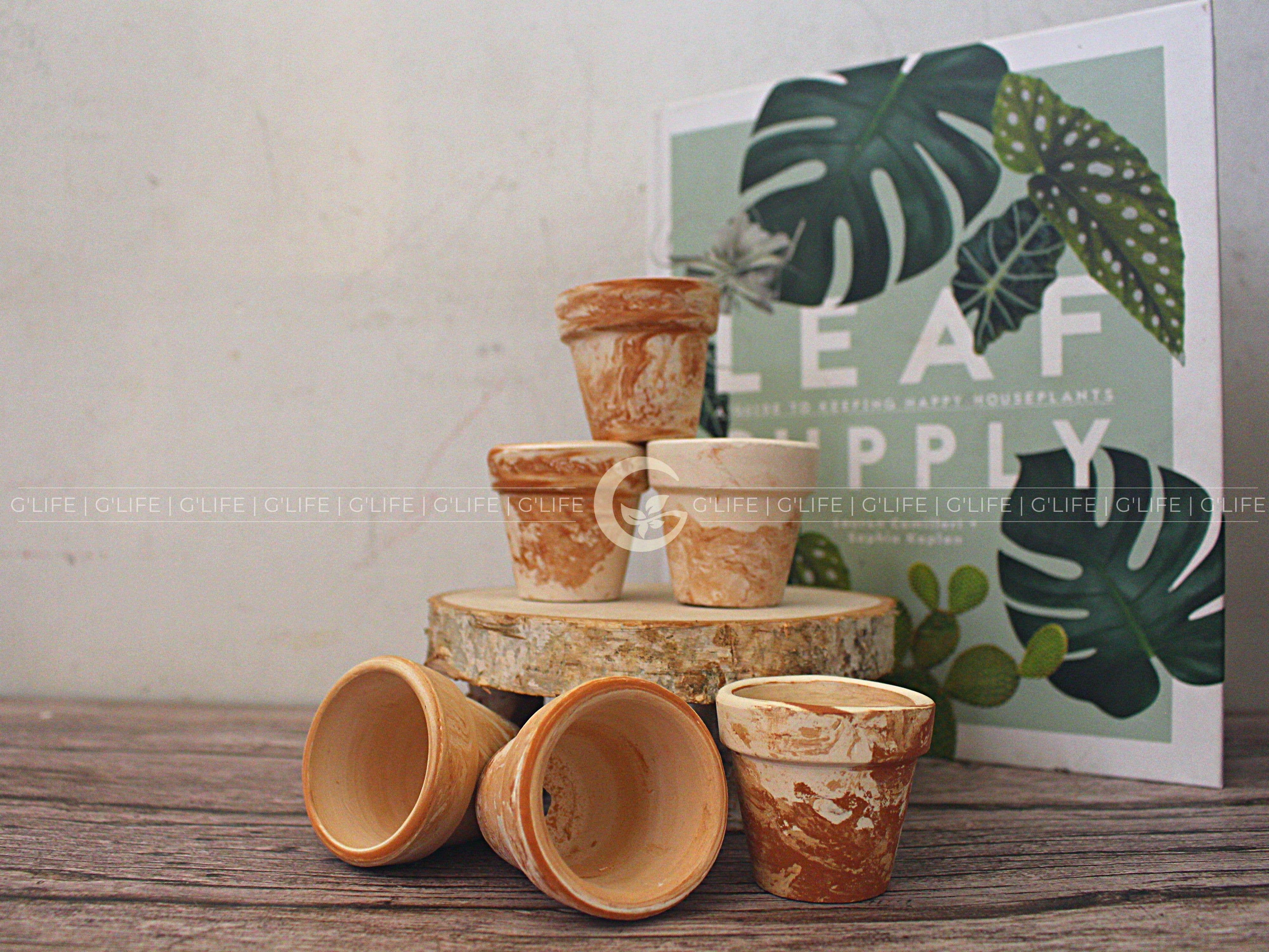 GLifee - Wholesale Plant Pot - 2" Tiny Terracotta Clay Plant Flower Pot - Drainage Hole23