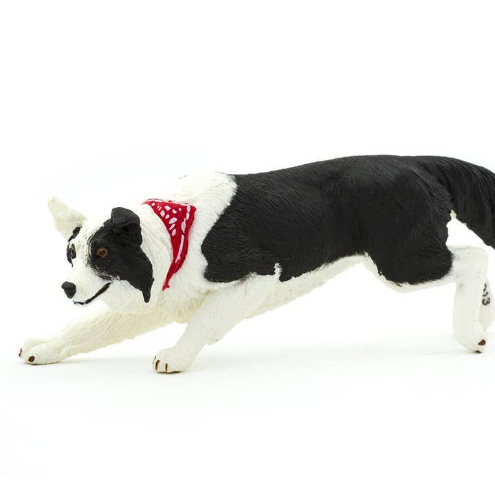 Safari LTD - Canada - Wholesale Figurine Toy - Kids - Border Collie - 2545293
