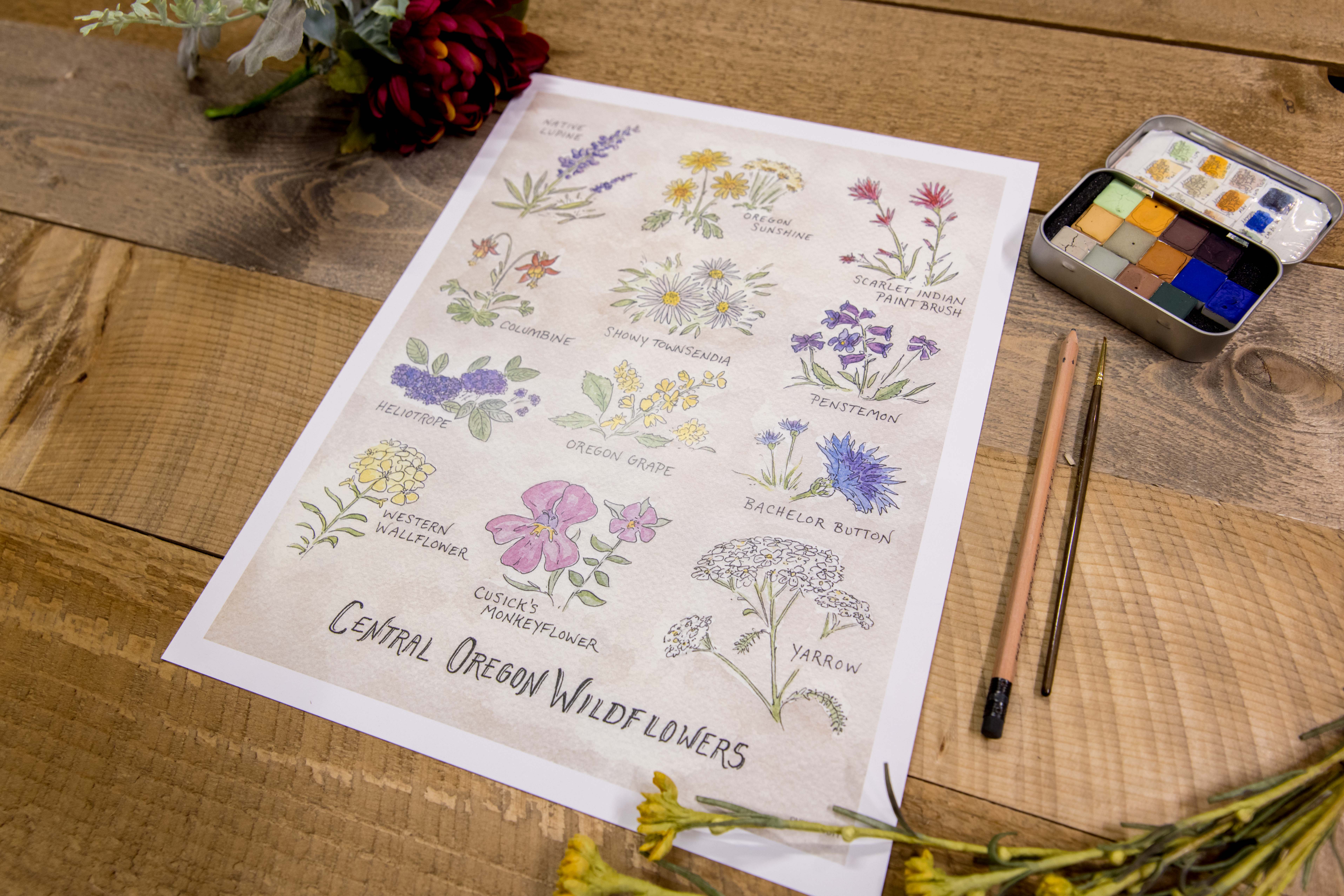 Hiker Booty – wholesale Art print – Central Oregon Wildflowers 8"x10" Art Print2