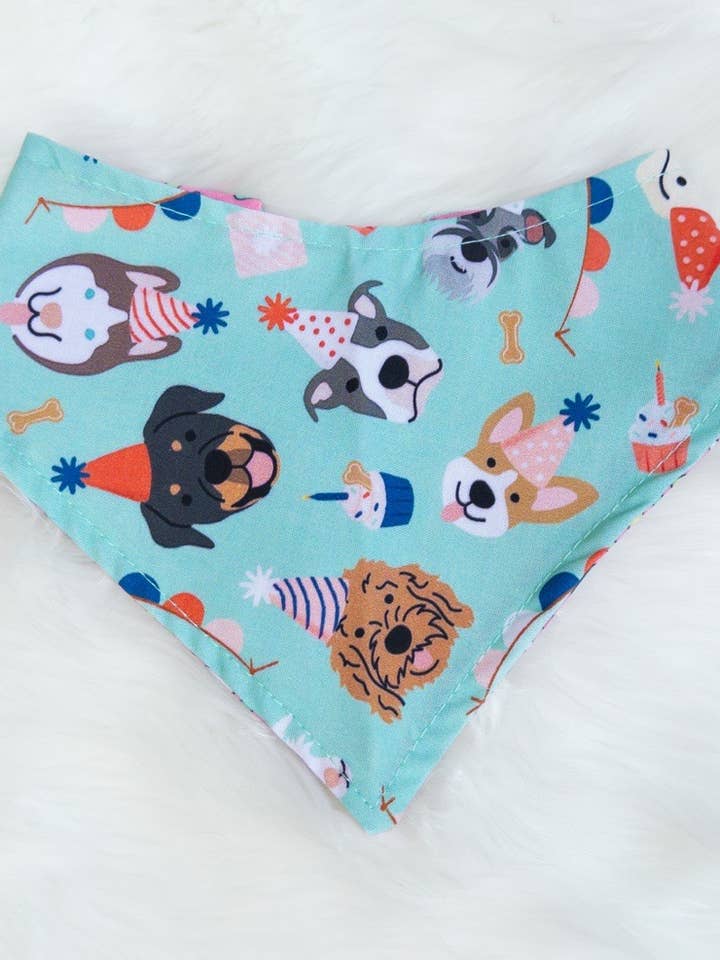 Blue Pawty Puppers Elastic Bandana for wholesale by Blonde Sausage Co.