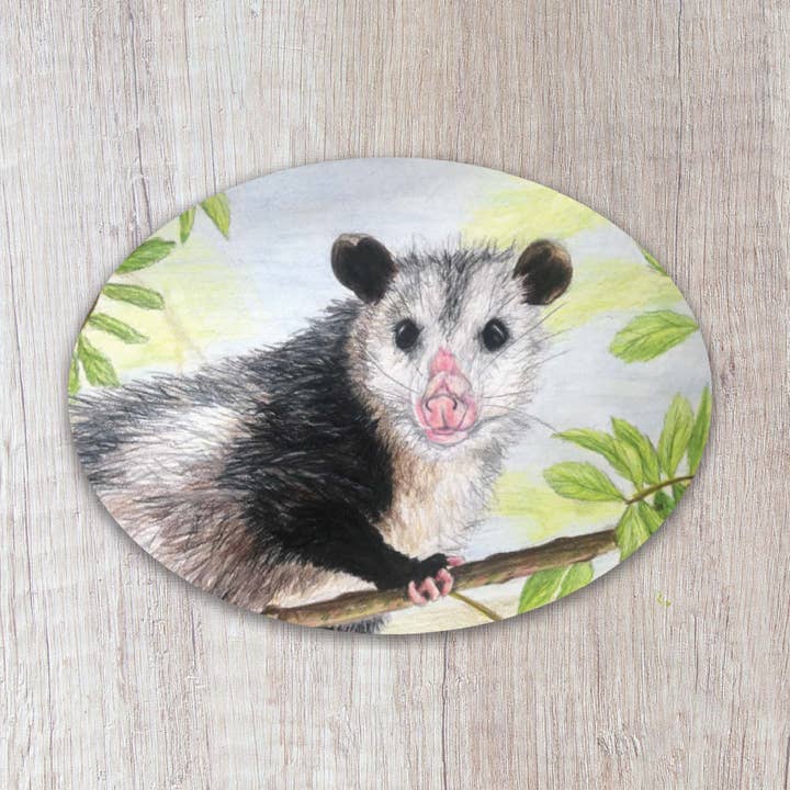 Brush & Bark - Wholesale Sticker - Opossum Sticker0