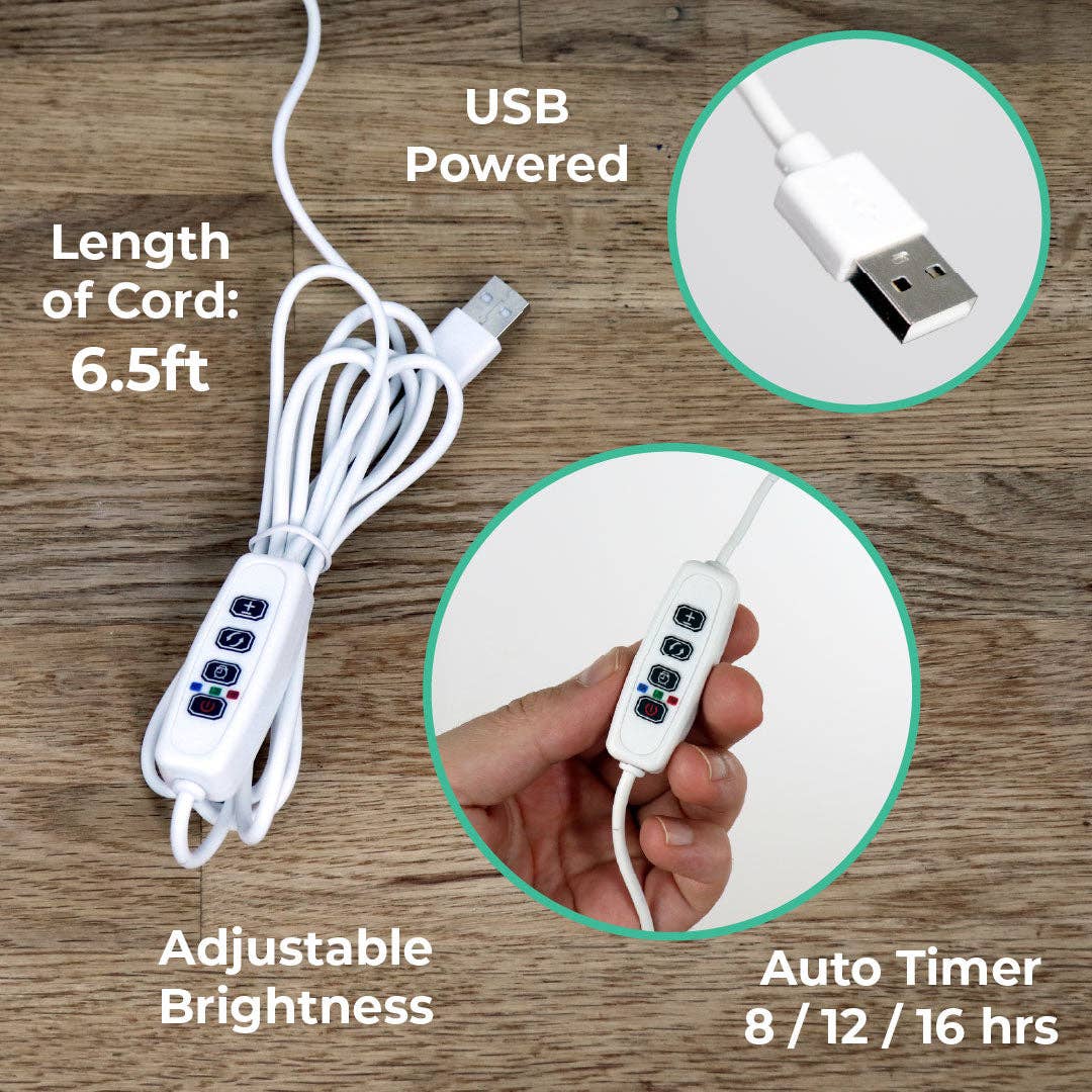 Tiny Treehouses - Wholesale DIY Craft Kit - Sunrise Terrace + Grow Light7