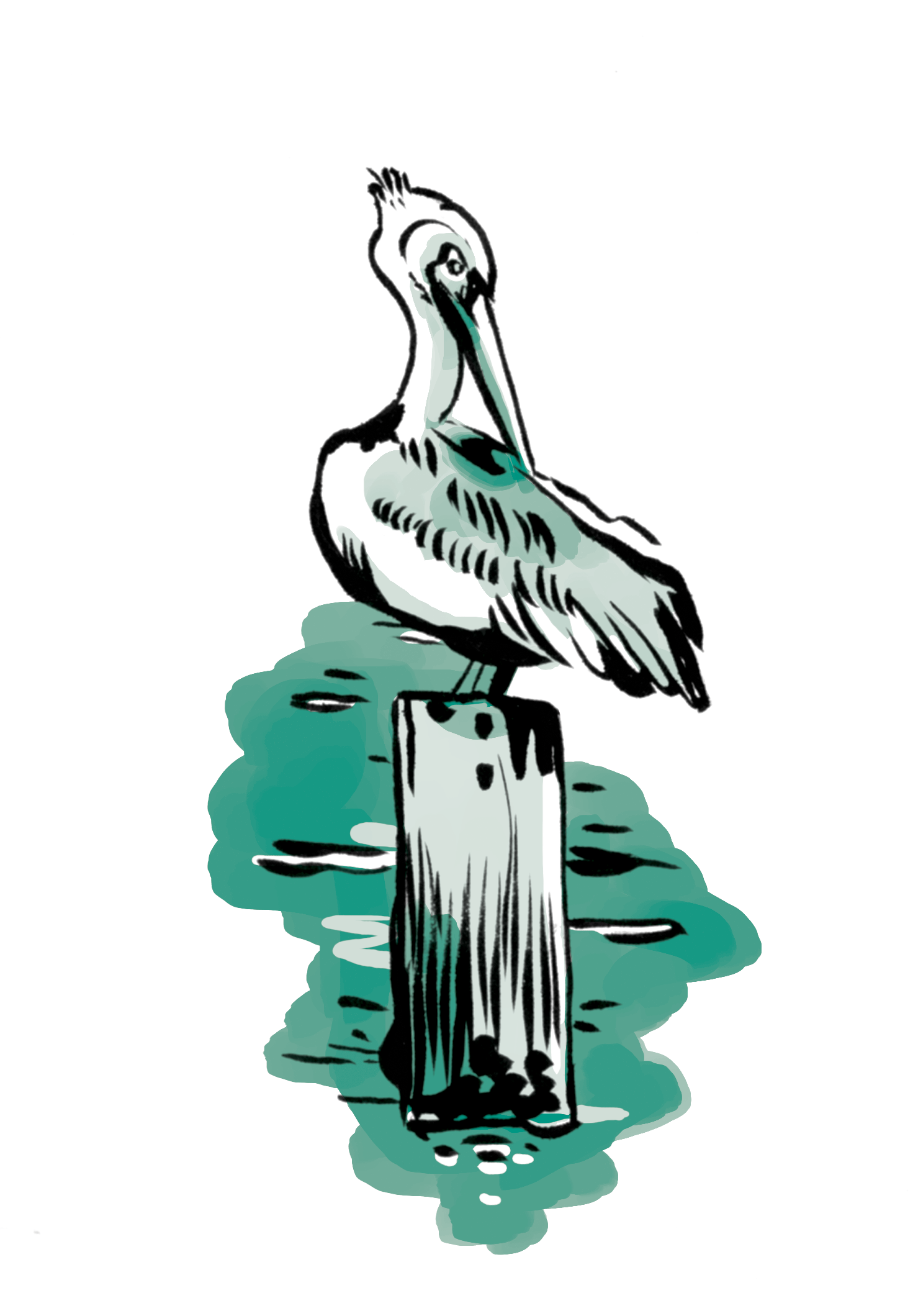 Wildsam Field Guides - Wholesale Nature & Outdoors - Gulf Coast Field Guide Book2