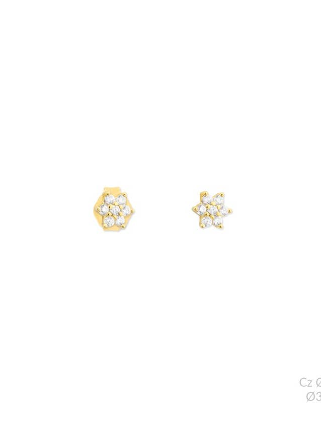 Étoile de zircon g-p pour la vente par XZOTA