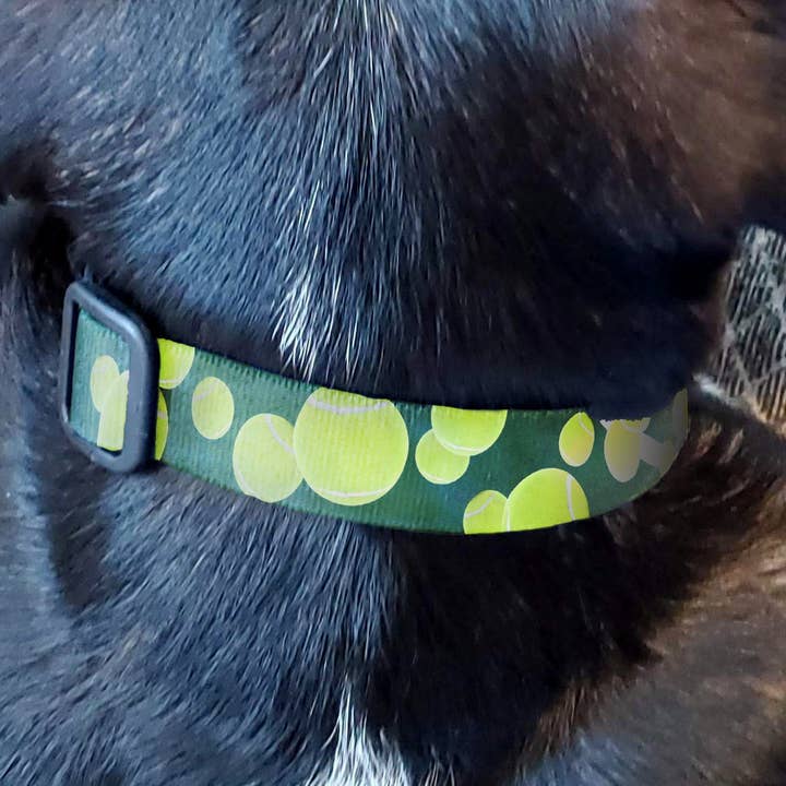 Collier de tennis pour chien - Fabriqué aux États-Unis pour la vente par Buttonsmith