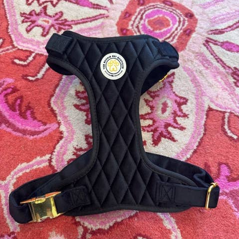 Bougie Pet Black Velvet Harness for wholesale by The Bougie Pet Boutique