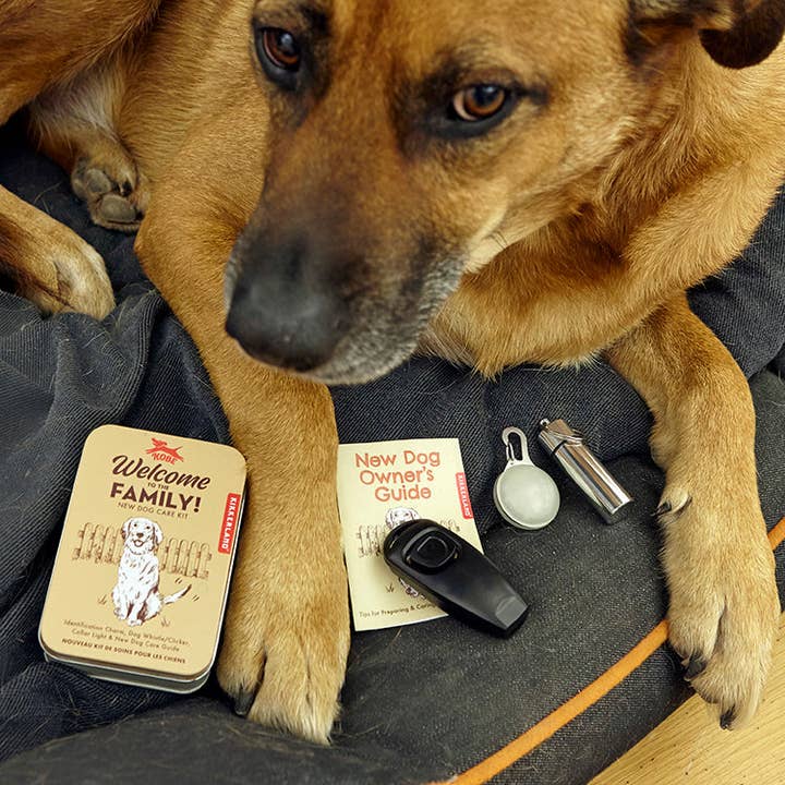 Welcome To The Family Dog Kit for wholesale by Kikkerland Design Inc