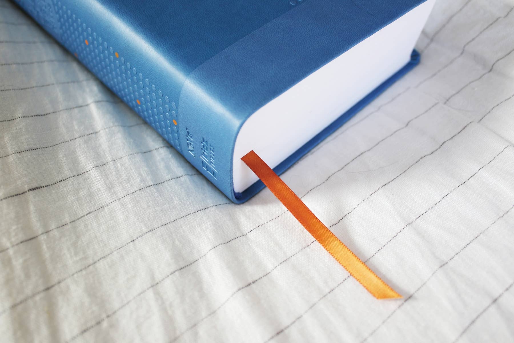 HarperCollins Christian Publishing - Wholesale Preschool Book (3-5) - NIrV, Clear Focus Bible For Kids, Leathersoft, Blue2