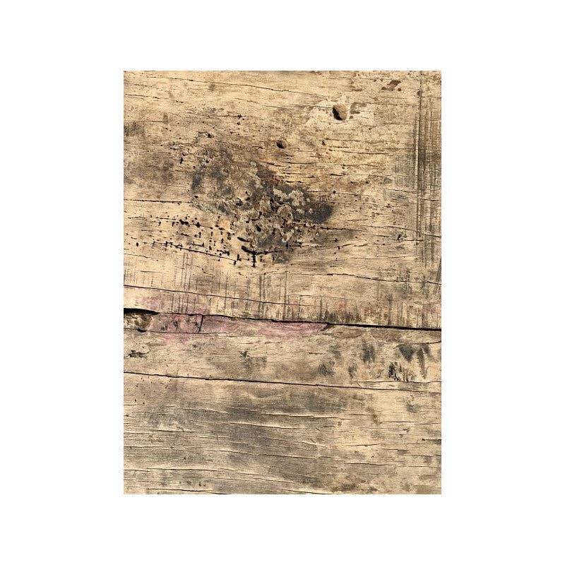 Paloma Black (Casa Natura Design, S.L.) - Vendita all'ingrosso Consolle - Consolle in legno naturale con bellissimi pannelli di legno antico e7